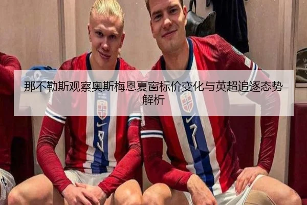 那不勒斯观察奥斯梅恩夏窗标价变化与英超追逐态势解析